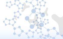 Fulltextové vyhledávání