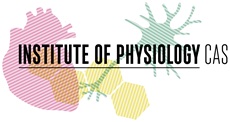 Institute of Physiology