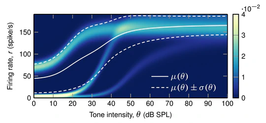 Performance breakdown in optimal  stimulus decoding