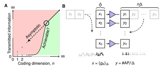 Critical size of neural population for reliable information transmission