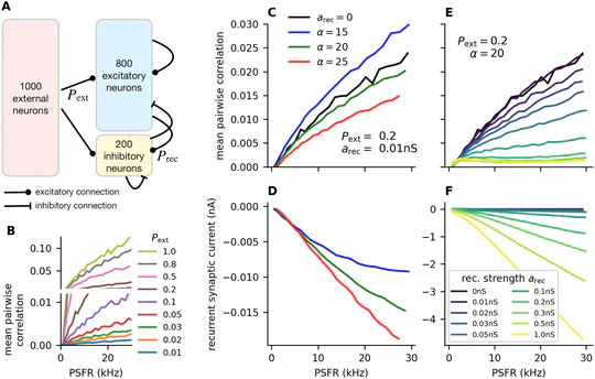 Shared input and recurrency in neural networks for metabolically efficient information transmission