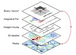 On the metabolically efficient neuronal information transmission