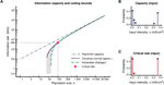 Neuronal information transmission: from finite-size effects to source-channel coding