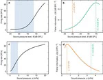 The role of stimulus parameterization in neural information and coding accuracy